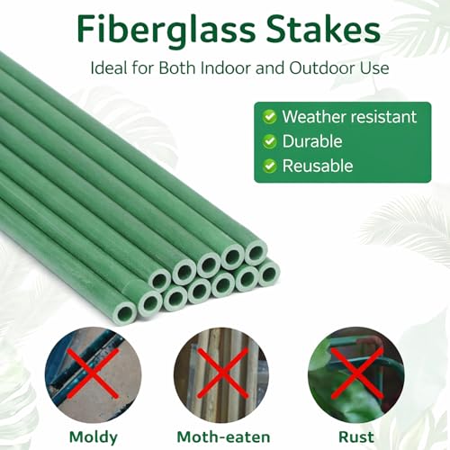 Extendable Plant Stakes 12 Inch, 12-Pack Heavy Duty Plant Support Poles with 12 Clips, Stackable Plant Holder Sticks for Orchid, Monstera, Amaryllis, Tomato, Indoor Outdoor Plants