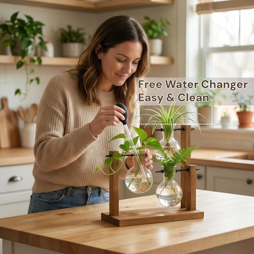 Plant Propagation Station, Wooden Stand with 3 Glass Vases