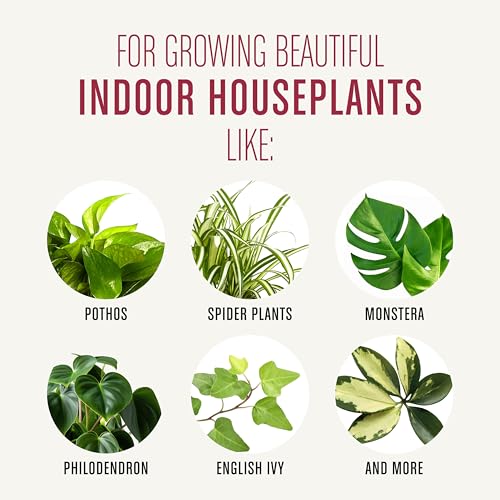 Miracle-Gro Houseplant Potting Mix, 4 qt. (2-Pack) - size: 2 Pack, style: Houseplant