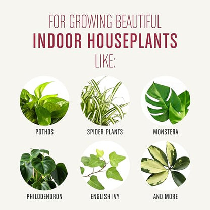 Miracle-Gro Houseplant Potting Mix, 4 qt. (2-Pack) - size: 2 Pack, style: Houseplant