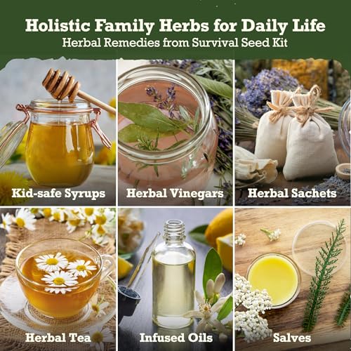 Lush&Dew Holistic Family Apothecary Seed Chest, 30000+ Medicinal Herb Seeds - style: Holistic Family Herbs