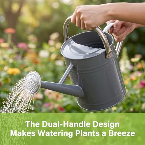 1 Gallon Metal Watering Can for Outdoor&Indoor Plants - color: Gray