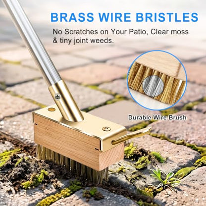 Crack Weeder and Crevice Weeding Tool with 67-Inch Long Handle