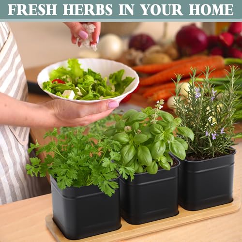 LemonRoad 6 Pcs Indoor Herb Planter Window Herb Pots for Kitchen with Drainage Hole and Bamboo Tray Farmhouse Metal Garden Planter Pot with DIY Label Mom Plant Gift(Black,Square)