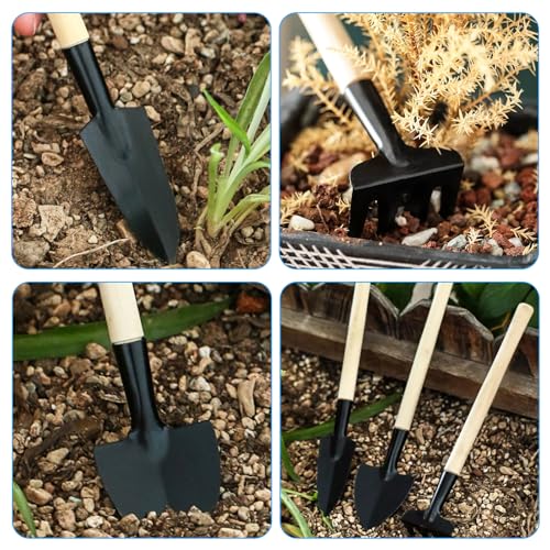 3 Pcs Mini Garden Tools Set, Iron Kit Including Miniature Gardening Rake Trowel and Shovel for Succulent/Bonsai & Pot Plants - style: 3Pcs