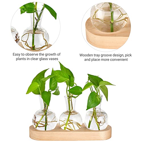 Mkono Plant Propagation Station, Desktop Glass 3 Bulb Vase Beige Wood Tray - color: Beige, size: Medium