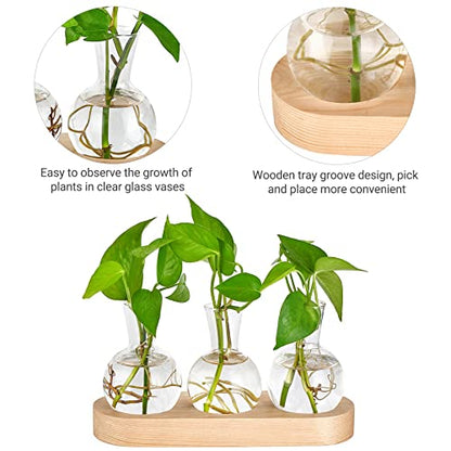 Mkono Plant Propagation Station, Desktop Glass 3 Bulb Vase Beige Wood Tray - color: Beige, size: Medium