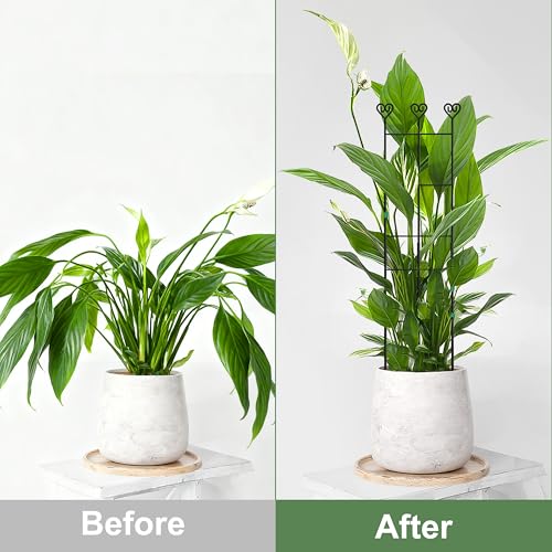 Coomin 32in Monstera Plant Support Trellis for Indoor Plants, 4P - size: 32in/4p