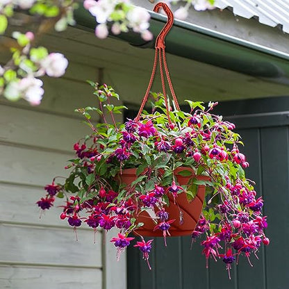 Tioncy 50 Pcs Plastic Hanging Baskets Planter Hanging Pot, Coffee, 6.7inch - color: Coffee, size: 6.7inch