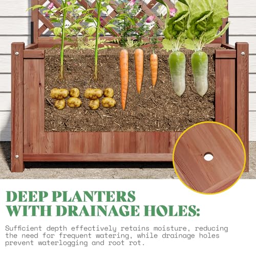 AMERLIFE Raised Garden Bed with 71" Trellis, Privacy Planter for Planting