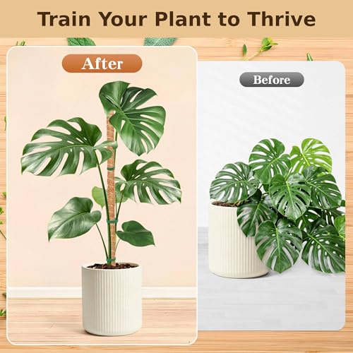4 Pack Moss Pole, 2 Pack 28" & 2 Pack 48" Bendable Monstera Plant Support, Plant Stakes for Climbing Indoor Plants, Coco Coir Moss Pole for Potted Plants, Pothos, Philodendron