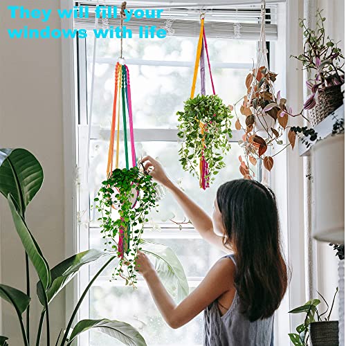 Rainbow Colorful Macrame Plant Hanger, 2 Pack - color: Colorful