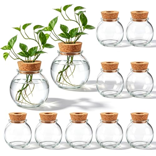12 Pack Glass Plant Propagation Stations, Spherical - style: Spherical