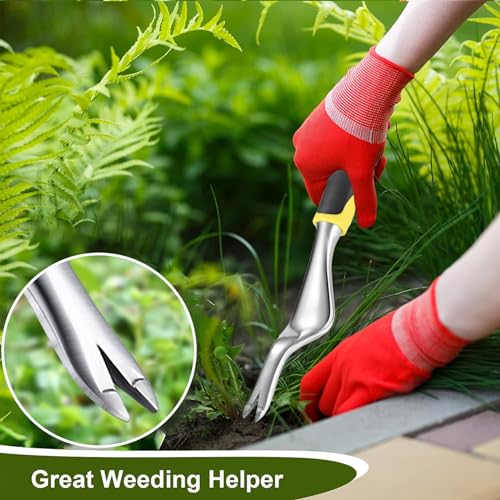 Weed Puller Hand Weeder Tool Bend-Proof Leverage Base with V-Shaped Forks