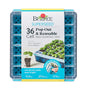 Burpee SuperSeed 36-Cell Reusable Seed Starting Tray for Indoor Seedlings - size: 36 Cells