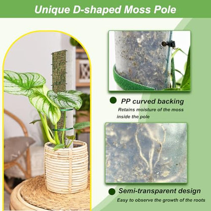 60"/40"/24" Metal Moss Pole, D Shape Sphagnum Moss Pole, Moss Poles for Climbing Plants, Monstera, Indoor Climbing Plants(4Pcs 40") - style: 4Pcs 40"