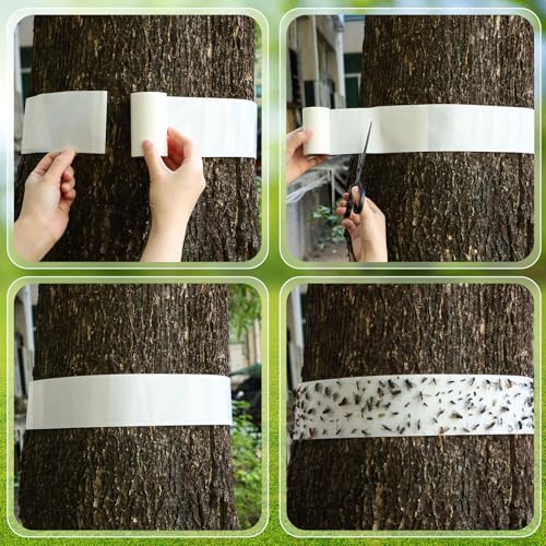 6 Rolls Spotted Lantern Fly Tree Trap, 30 ft Each, Outdoor Ant Trees Wrap