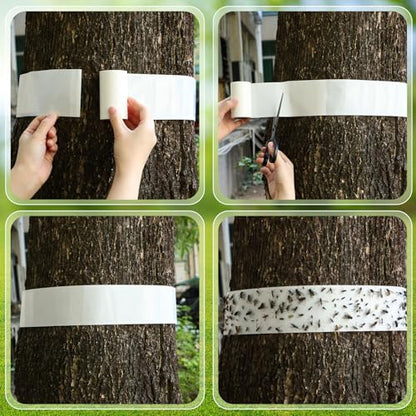 6 Rolls Spotted Lantern Fly Tree Trap, 30 ft Each, Outdoor Ant Trees Wrap