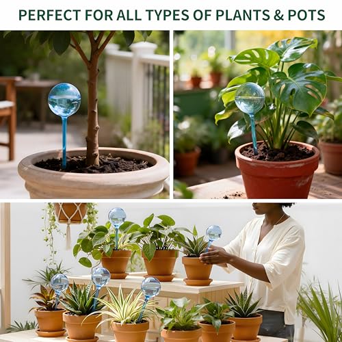 Soilagua 12-Pack Plastic Plant Watering Globes, Self Watering Spikes - size: M + S – 12 Pack