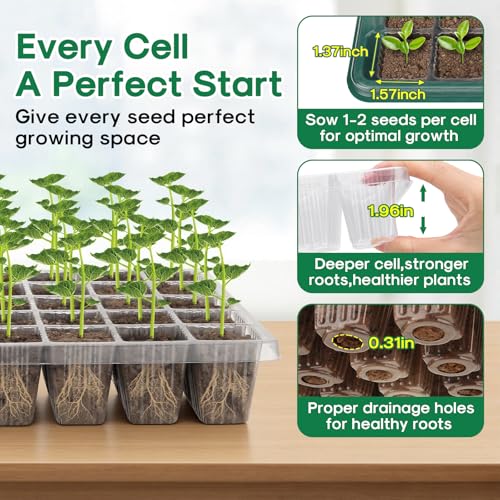 BlumWay Seed Starter Tray with Grow Light, Humidity Dome, 2 Pack 80 Cells