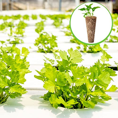 Chumia 200 Pcs Hydroponics Grow Sponges Pods for Seed Starter System