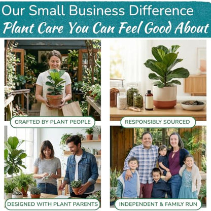 Fiddle Leaf Fig Health Meter, 3-in-1 Soil Moisture, Light & pH Testing Tool