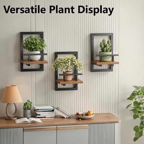 Sbosbo Floating Shelves for Wall Plant Shelf - color: Rustic Brown