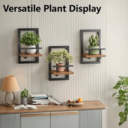 Sbosbo Floating Shelves for Wall Plant Shelf - color: Rustic Brown