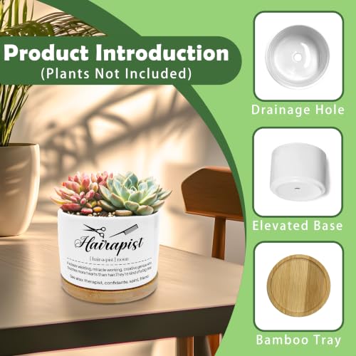Funny Hairapist Planter Pots, Gifts for Hairstylist Ceramic Succulent Plant Flower Planters(No Plants) - color: Style 01