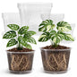 Bluepro Clear Nursery Pots with Saucers, 5/6/8/10 Inch, 12-Pack - size: 5/6/8/10 Inch-12Pcs