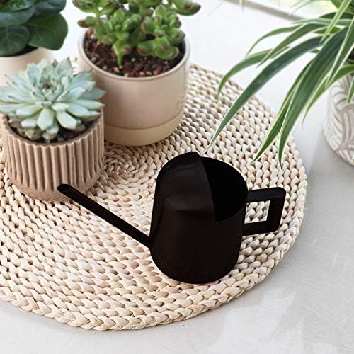 Mini Watering Can, 10oz/300ml Stainless Steel Long Spout Small Watering Can for Indoor Plants Succulents, Herbs (Black) - color: Black