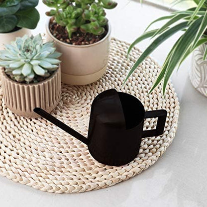 Mini Watering Can, 10oz/300ml Stainless Steel Long Spout Small Watering Can for Indoor Plants Succulents, Herbs (Black) - color: Black