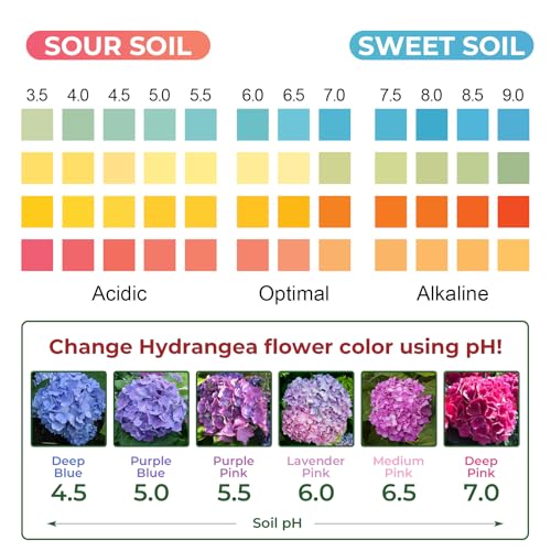 Soil pH Test Kit: 125 Soil pH Test Strips with Measuring Cylinders