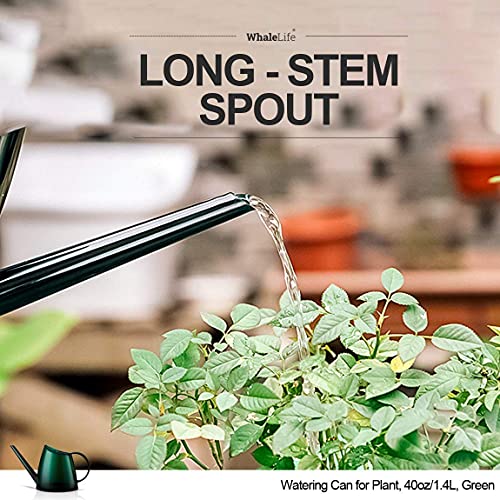 WhaleLife Small Indoor Plant Watering Can - 1.4L Dark Green Long Spout - color: Green