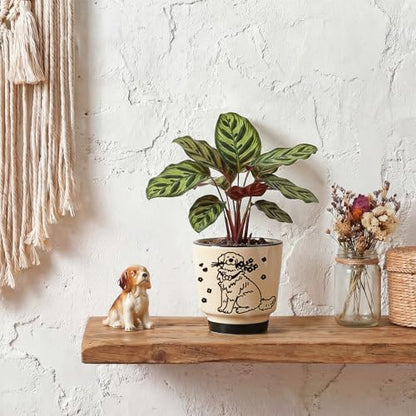 STHIE Ceramic Planters with Drainage Holes, 5 Inch Pots for Indoor Plants - color: Tr-goldflower04