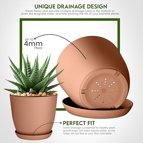 Plant Pots Indoor with Drainage, 5 Pack Multi-Size Planters Set, Terracotta - color: Terracotta, size: Pack of 5