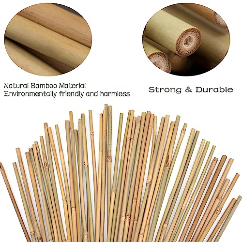 Plant Stakes 50Pcs 16IN,POLIUMB Premium Natural Bamboo Stakes Garden Stakes - size: 16Inches