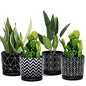 Flower Pots,5.5 Inch Black Ceramic Planters with Drainage Hole Set of 4 - color: Black