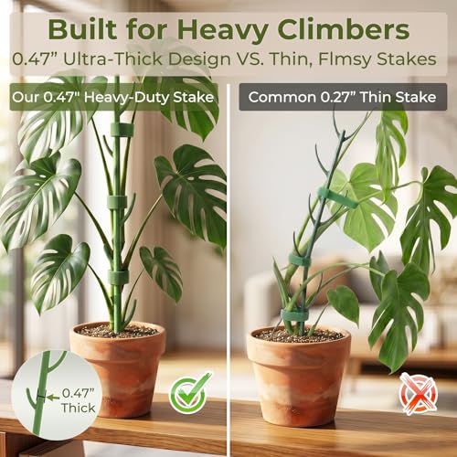 10-Piece Thick Plant Support Stakes: Stackable for Monstera Climbing Vines