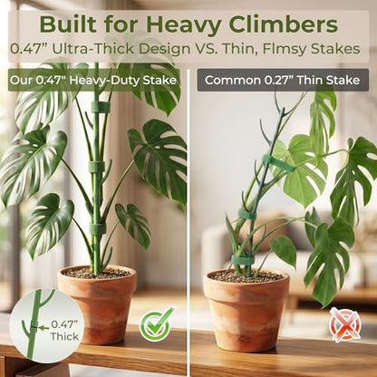 10-Piece Thick Plant Support Stakes: Stackable for Monstera Climbing Vines