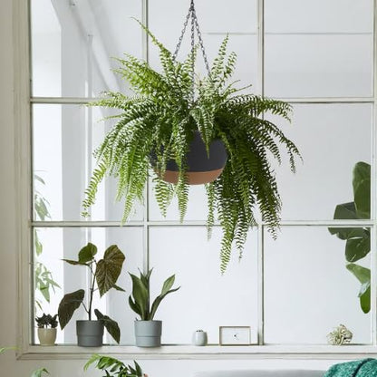 2 Pack Self Watering Hanging Planters: 9.7 Inch Pots with Chain Tray, Black - color: Black