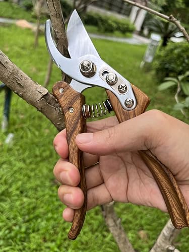 Pruning shears for gardening, Floral cutter, German Stainless Steel Blades, 1 inch Cut Capacity, Garden Snips for flowers with Non-Slip Handle, Lightweight & Ergonomic Professional