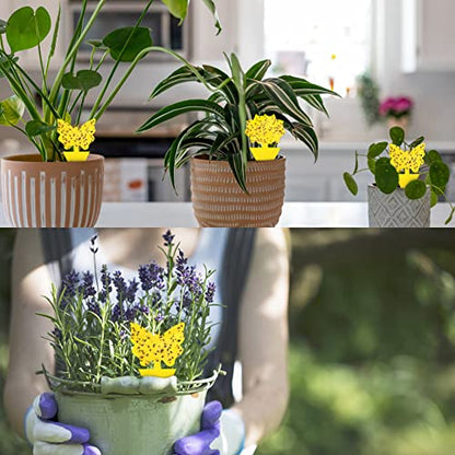 96 Pack Yellow Sticky Fungus Gnat Traps for House Indoor & Outdoor Plants - size: 96 Packs