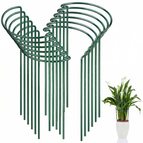 FEED GARDEN 12 Pack Plant Support Stakes, Peony Cages and Supports, Metal Garden Plant Stake(10" Wide x 16" High) Green Half Round Plant Support Rings for Outdoor Indoor Plants, Tomato, Hydrangea - size: 12 Pack-16" H