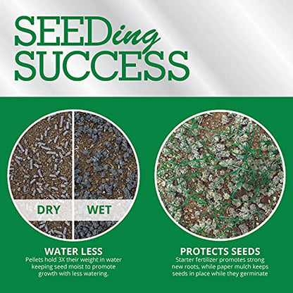 GreenView Fairway Formula Seeding Success plus Starter Fertilizer - 38 lb. - size: 38 lb. Bag - Covers 760 Sq. ft.