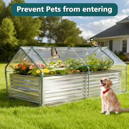 DUMOS Galvanized Raised Garden Bed with Cover, Clear, 6x3x2ft - color: Silver (Transparent Cover), size: 6×3×2ft