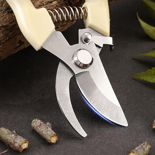 Premium Branch Pruning Shears, Stainless Steel Blade Drop Forged Body and Handle, Ultra Fine Polished Gardening Shears for Tree Trimming Shaping Deadheading