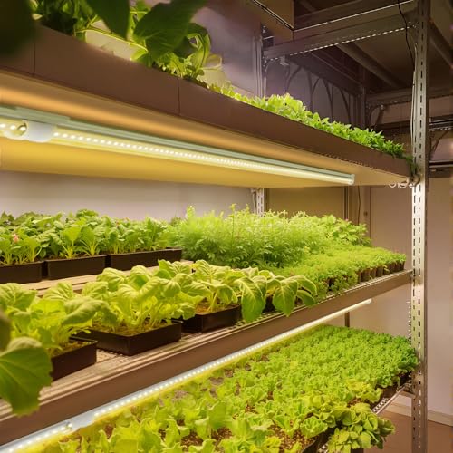 Barrina T8 Full Spectrum LED Grow Light, 4FT Plant Light Strips, 4 Packs - color: Yellow, size: 4ft-4 Packs
