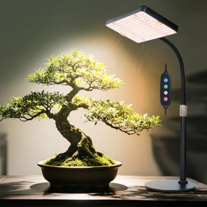 FECiDA Bonsai Grow Light, Table Grow Lights for Indoor Plants Collection - size: 1-Head Timer