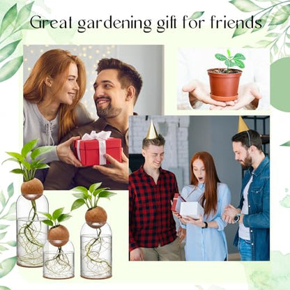 Baderke 3 Pcs Glass Plant Propagation Vase W/Hole Stopper and Pad